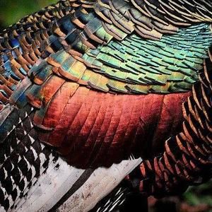 Meet your Posher, Paula